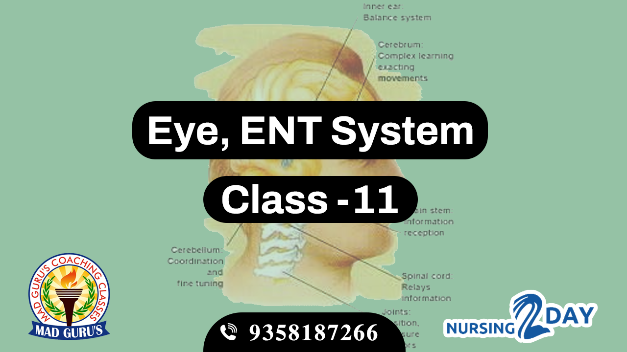 Eye & ENT System Class 11