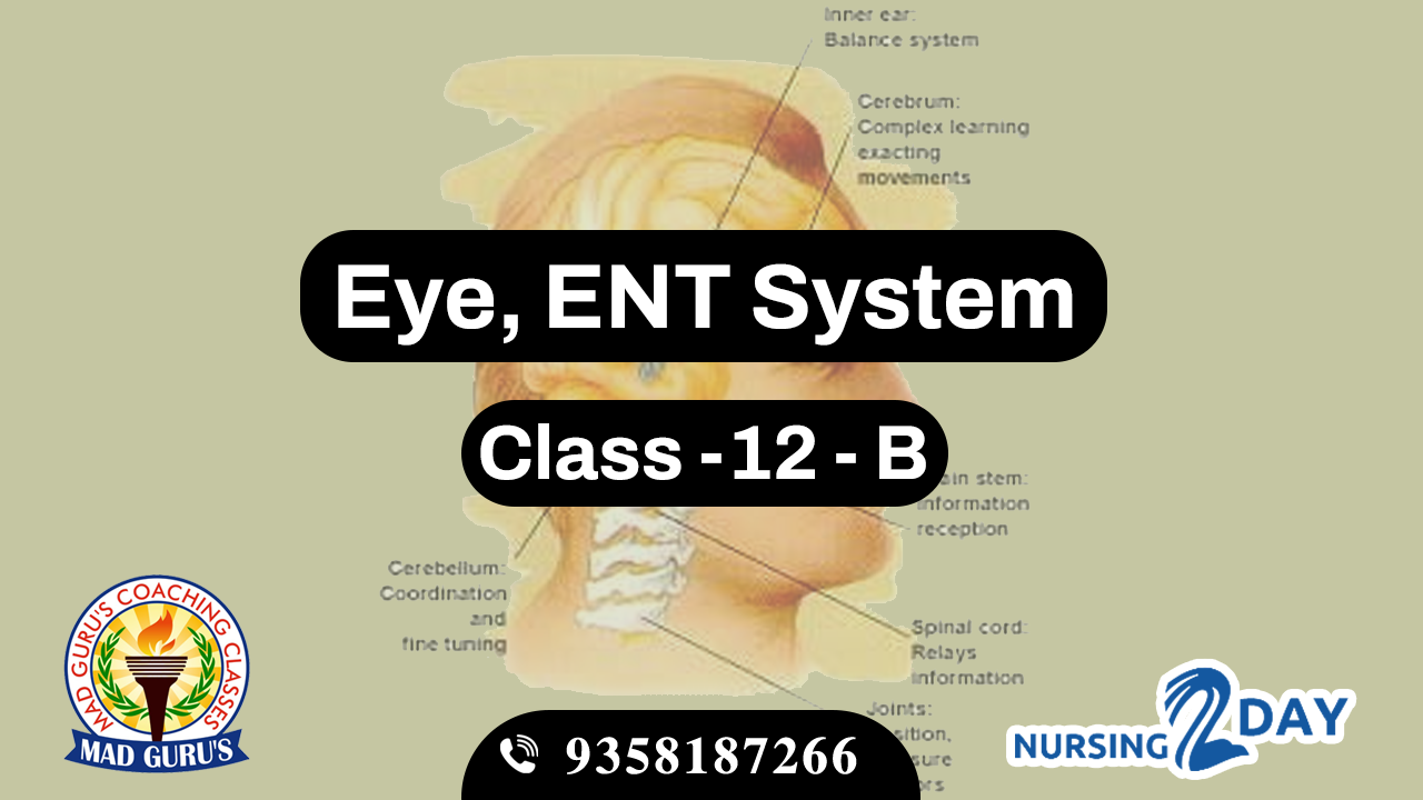 Eye & ENT System Class 12 B