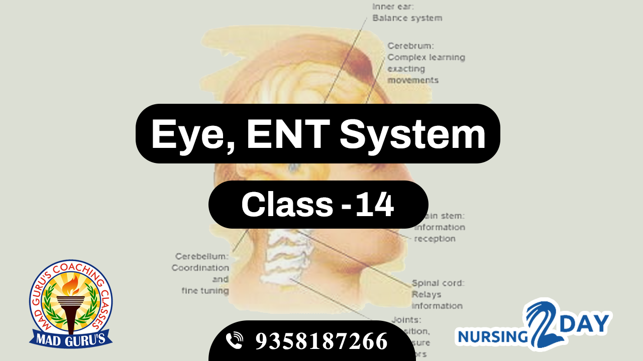 Eye & ENT System Class 14