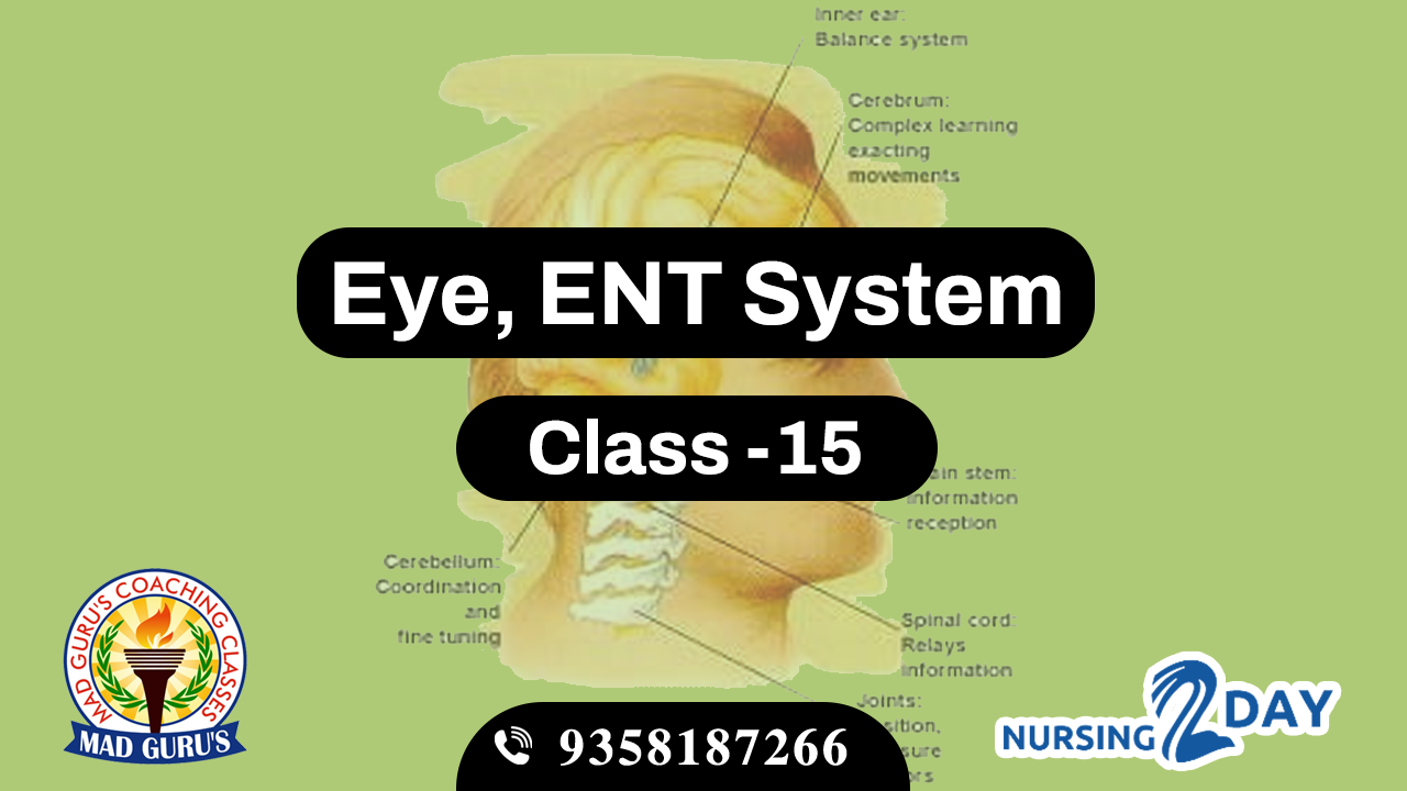 Eye & ENT System Class 15