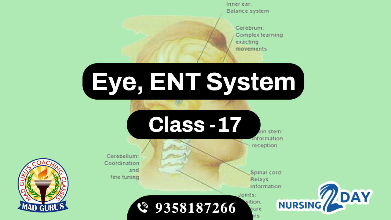 Eye & ENT System Class 17