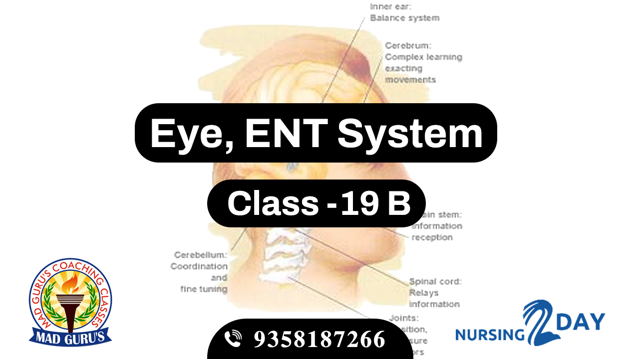 Eye & ENT System Class 19 b