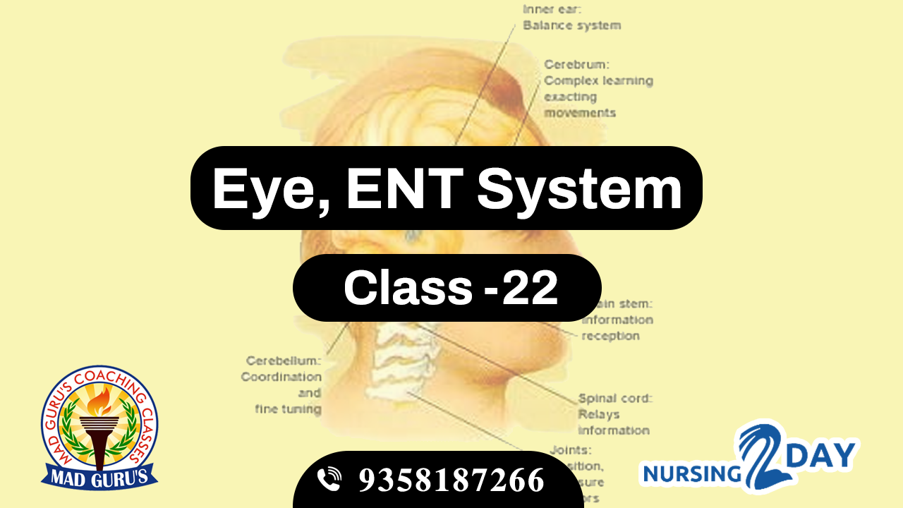 Eye & ENT System Class 22