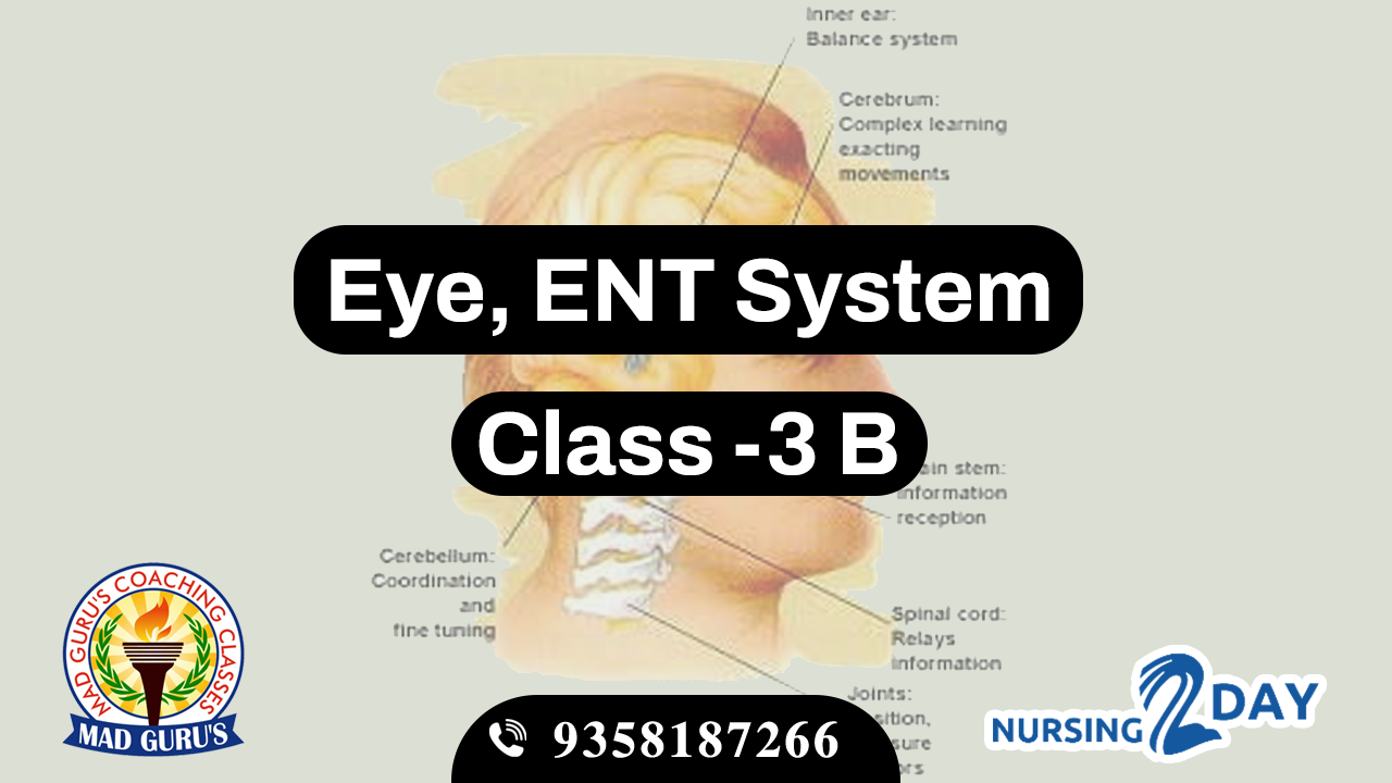 Eye & ENT System Class 3 b