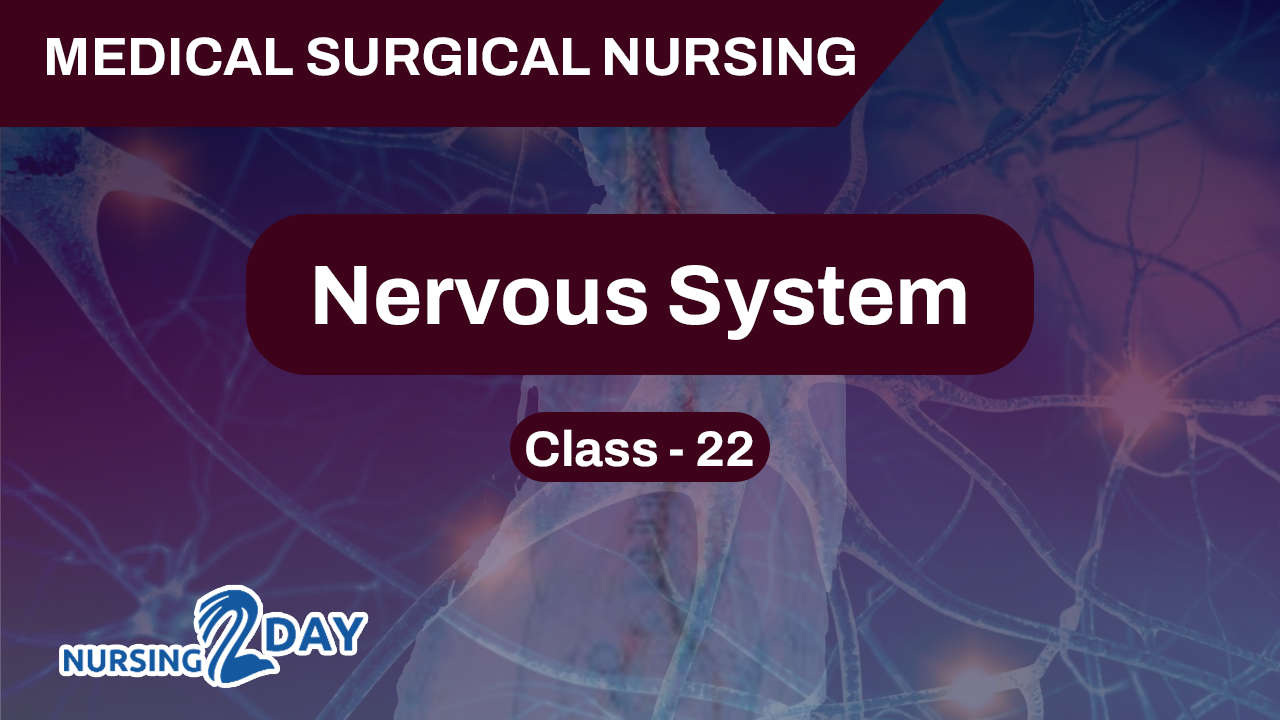Nervous System Class 22