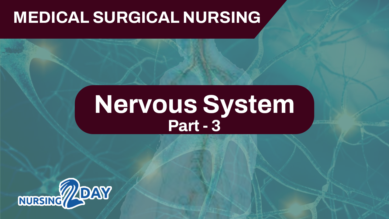 Nervous System Part - 3