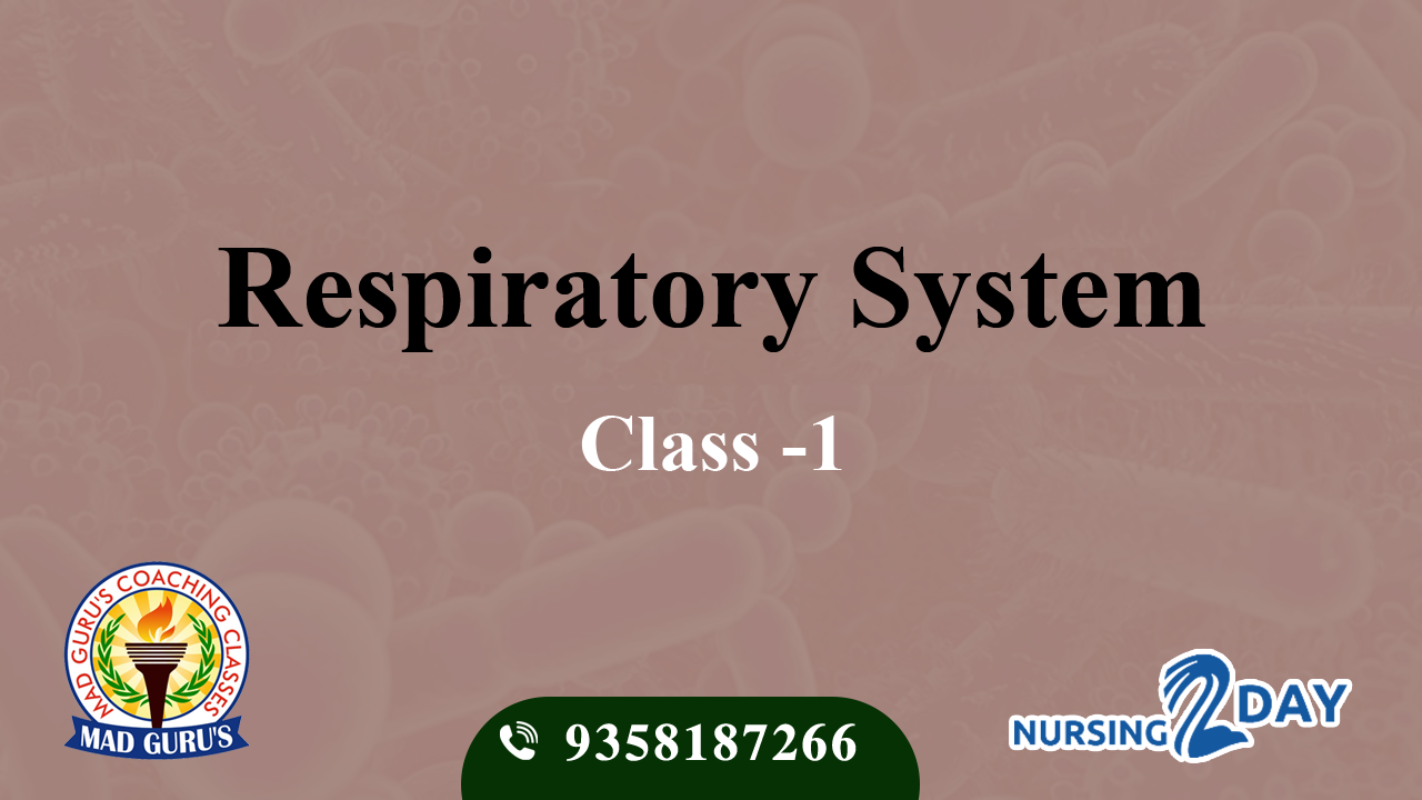 Respiratory system (CHO)  Class 1