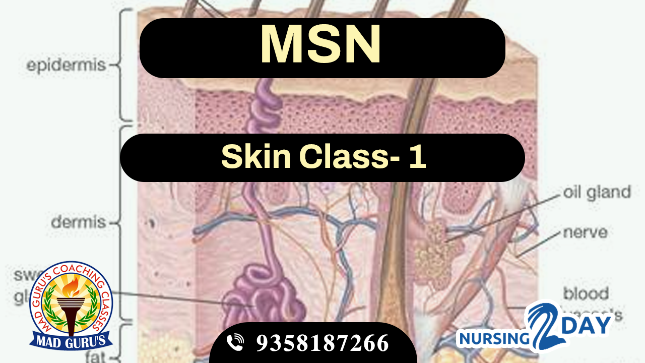 Skin Class 1