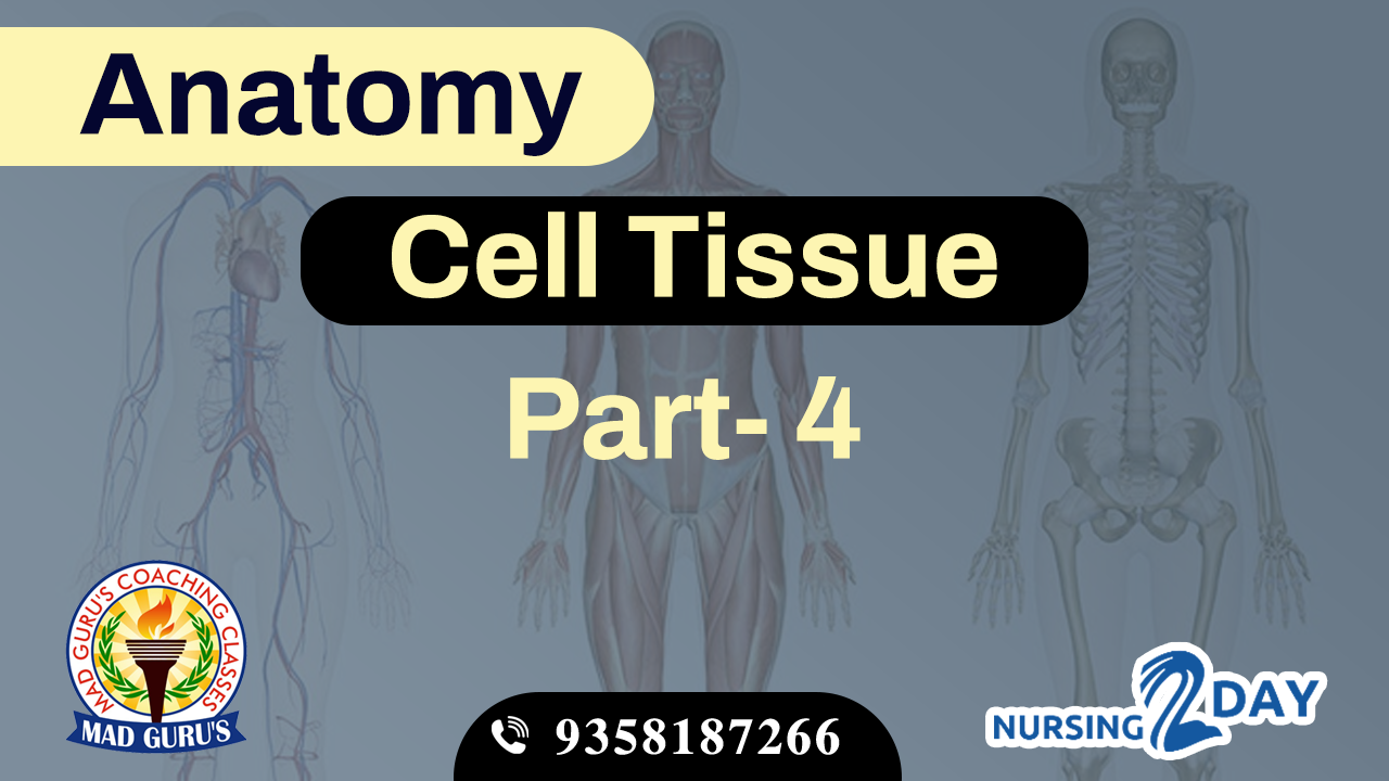 Anatomy || Cell Tissue Class 4