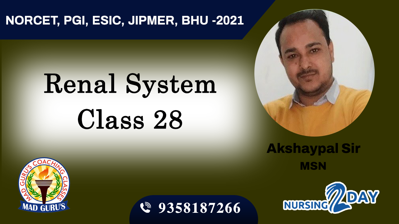 Renal System Class 28