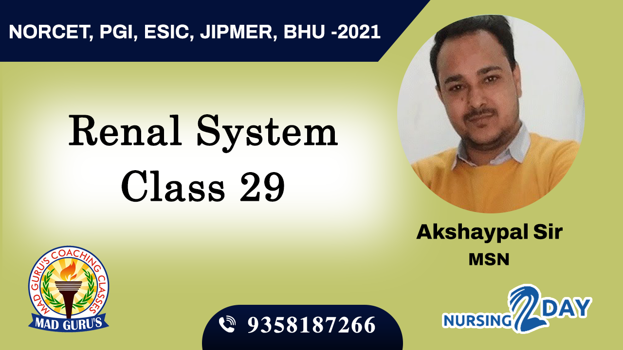 Renal System Class 29