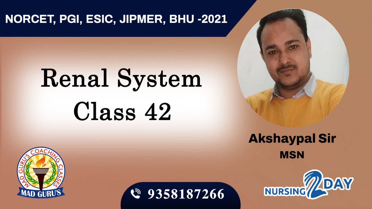 Renal System Class 42
