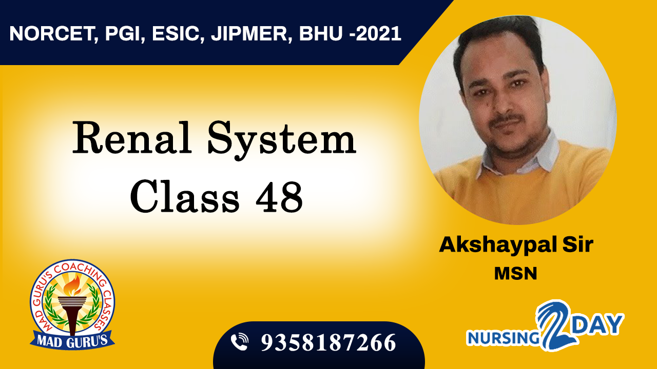 Renal System Class 48