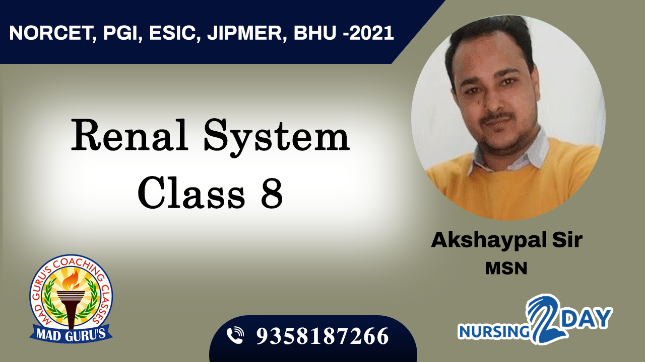 Renal System Class 8