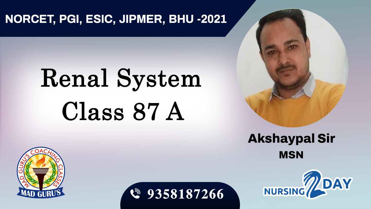Renal System Class 87 A
