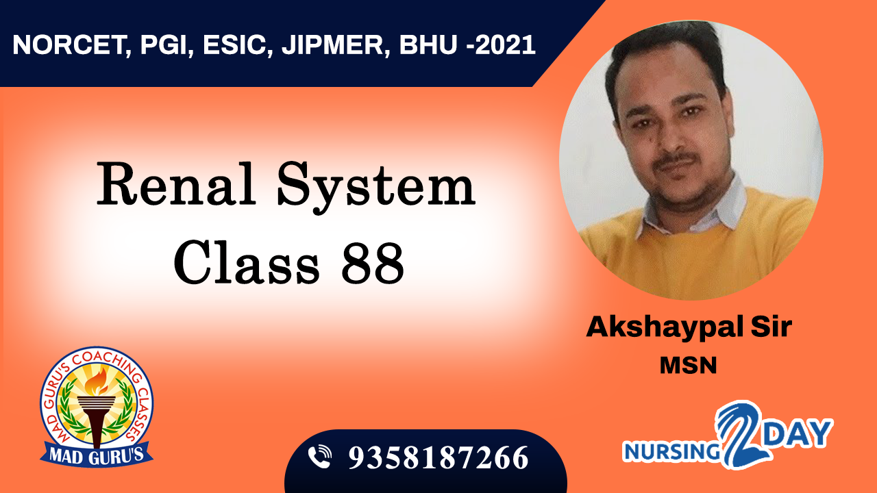 Renal System Class 88