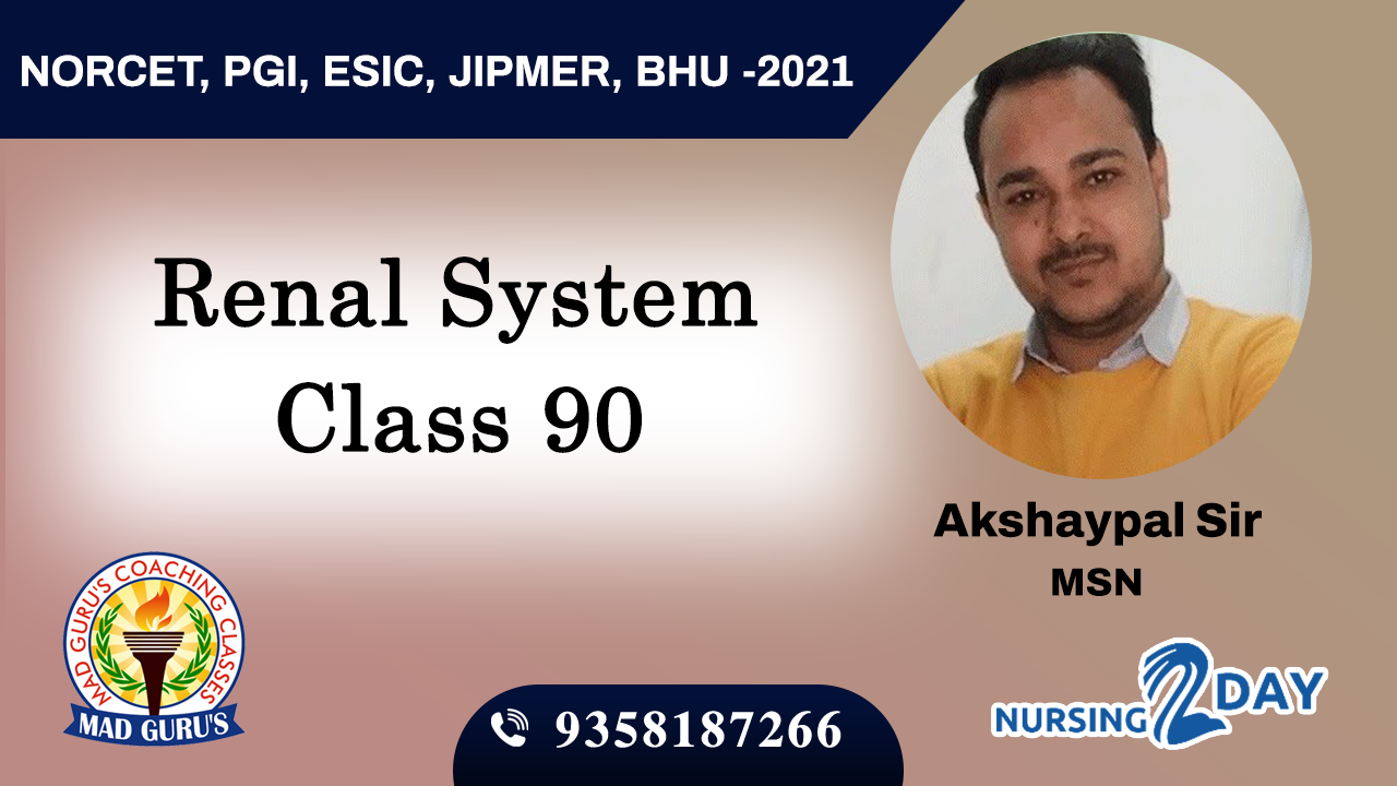 Renal System Class 90