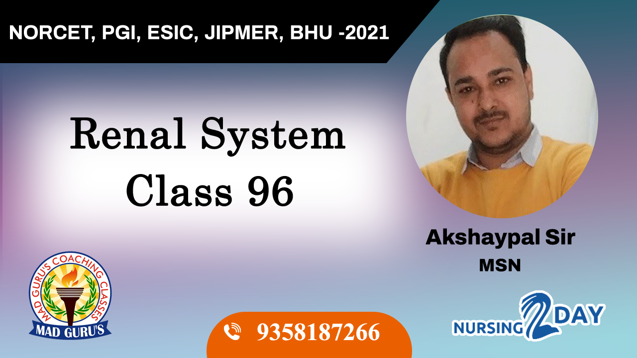 Renal System Class 96