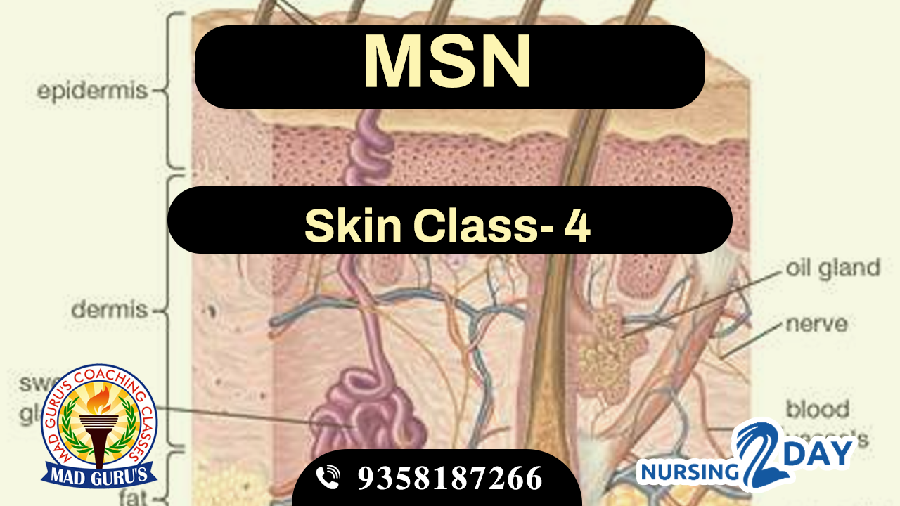 Skin Class 4