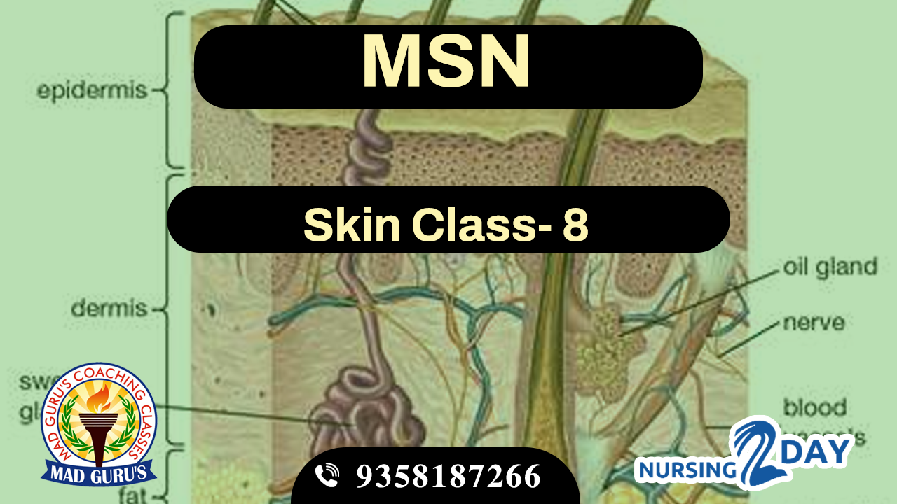 Skin Class 8